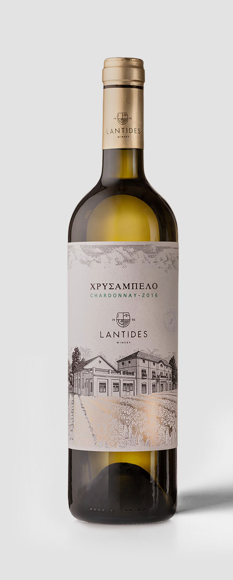 Χρυσάμπελος Λαντίδη 